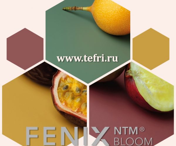 Fenix-NTM-BLOOM